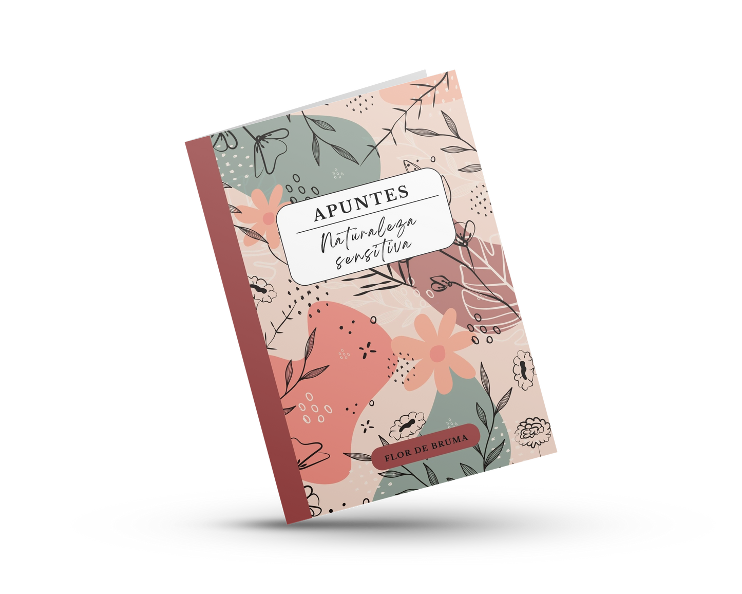 Colección de notas
