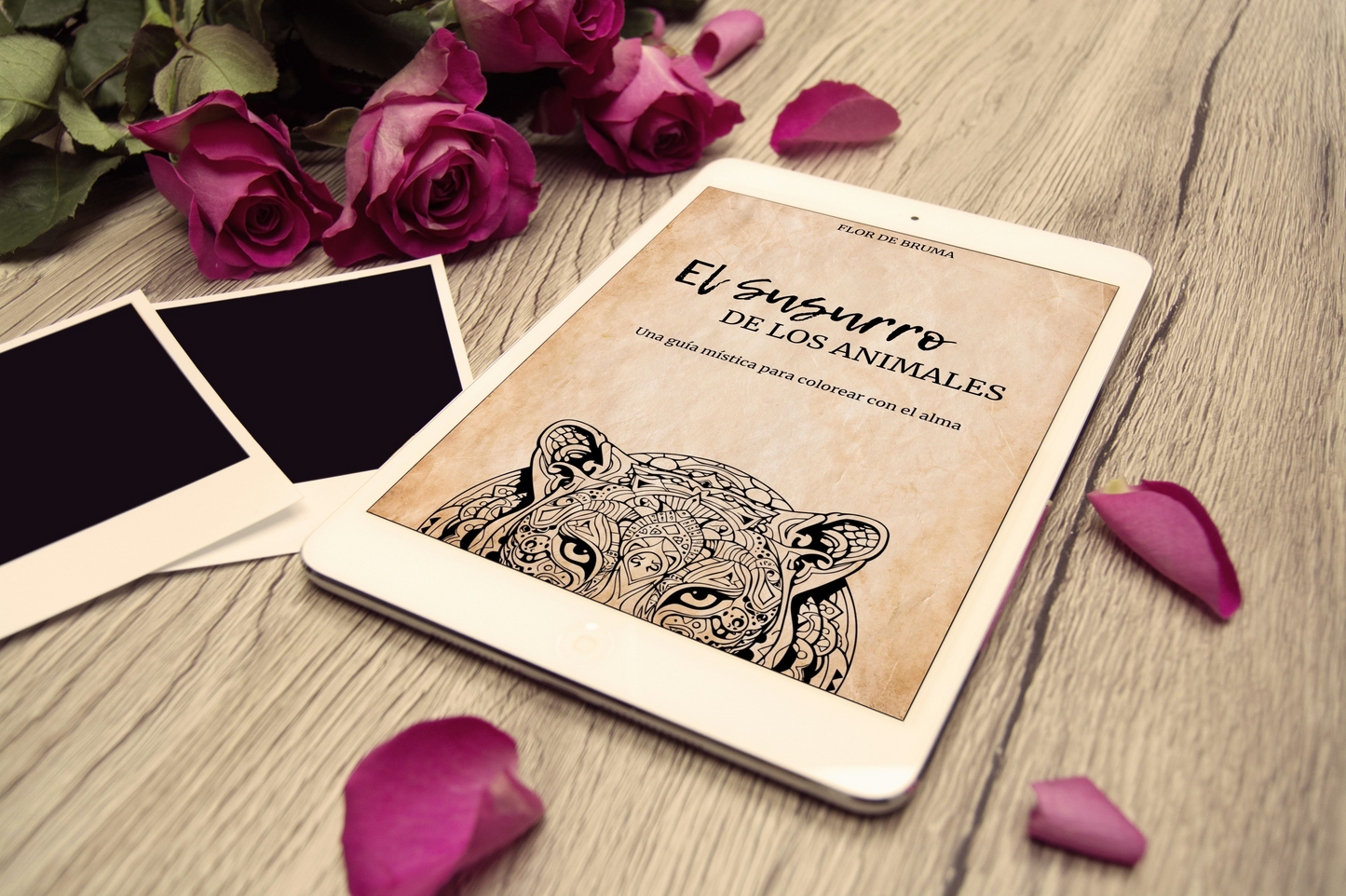 Libro de mandalas