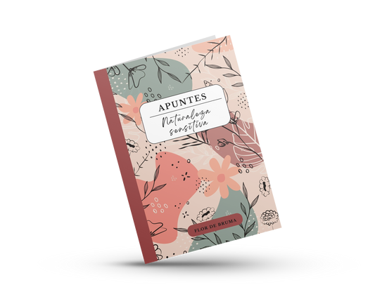 Colección de notas